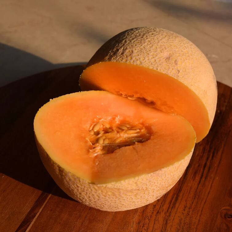Muskmelon benefits : ઉનાળામાં પાણીથી ભરપૂર સાકર ટેટીના સેવનના છે અદભૂત ફાયદા, આ રીતે કરો સેવન