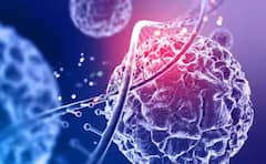 Cancer: ਕੈਂਸਰ ਦੇ ਮਰੀਜ਼ਾਂ ਲਈ ਸ਼ੁਰੂ ਹੋਈ ਖ਼ਾਸ ਹੈਲਪਲਾਈਨ, ਸਲਾਹ ਤੋਂ ਲੈਕੇ ਇਲਾਜ ਤੱਕ ਮੁਫ਼ਤ 'ਚ ਮਿਲੇਗੀ ਸਾਰੀ ਜਾਣਕਾਰੀ