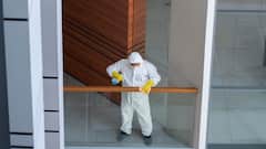 Termite Removal : घर में लग गया हो दीमक, तो जानें कैसे पाएं इससे छुटकारा