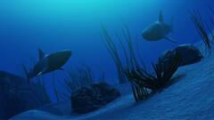 दुनिया की सबसे सुस्त मछली,  27 दिन में तैर पाती है मात्र 1 किलोमीटर