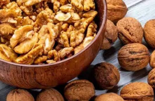 Walnut Farming: ਅਖਰੋਟ ਉਗਾਉਣਾ ਕੋਈ ਸੌਖਾ ਕੰਮ ਨਹੀਂ ਹੈ। ਅਖਰੋਟ ਖਾਸ ਕਰਕੇ ਪਹਾੜੀ ਇਲਾਕਿਆਂ ਵਿੱਚ ਉਗਾਇਆ ਜਾਂਦਾ ਹੈ। ਪਰ ਕੀ ਤੁਹਾਨੂੰ ਪਤਾ ਹੈ ਕਿ ਤੁਸੀਂ ਇਸ ਨੂੰ ਆਪਣੇ ਘਰ ਵਿੱਚ ਵੀ ਉਗਾ ਸਕਦੇ ਹੋ।