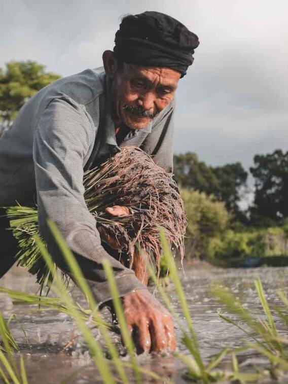 किसानों को कब मिलेगा 7वीं किस्त का पैसा?