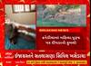 Mahesana News । કનેડીયામાં દીપડાએ એક મહિલા અને પુરુષ પર કર્યો હુમલો