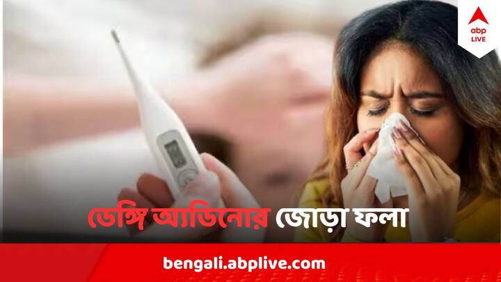 Dengue  Adenovirus Spreading In Kolkata Rapidly In Summer know the symptoms Dengue & Adenovirus: সাবধান ! গরম পড়তে না পড়তেই ডেঙ্গি, অ্যাডিনোর ছোবল, কীভাবে চিনবেন রোগ?