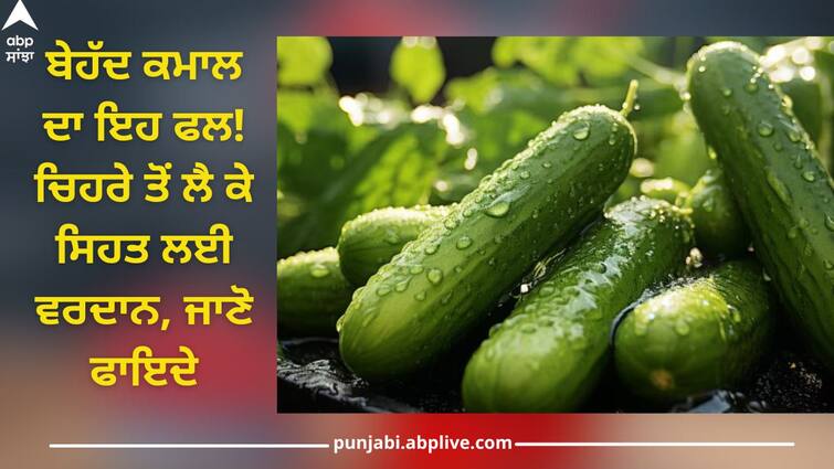 Cucumber benefits: this green fruit have amazing benefits it cure from many diseases Health Tips: ਬੇਹੱਦ ਕਮਾਲ ਦਾ ਇਹ ਫਲ! ਚਿਹਰੇ ਤੋਂ ਲੈ ਕੇ ਸਿਹਤ ਲਈ ਵਰਦਾਨ, ਜਾਣੋ ਇਸ ਦੇ ਫਾਇਦੇ