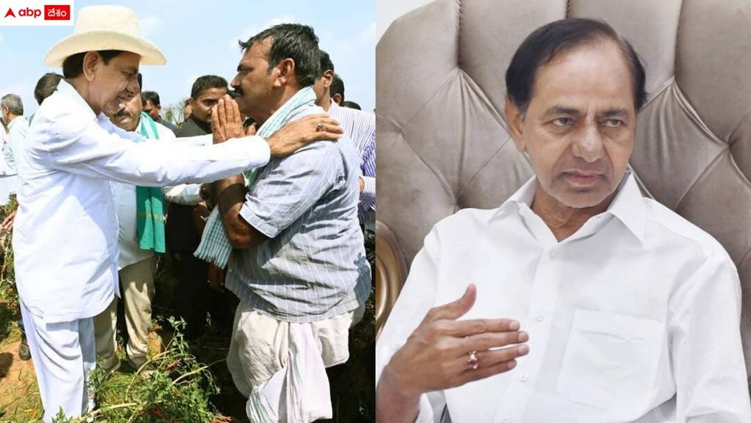 brs chief kcr tour schedule for visiting crops and advice to farmers KCR: అన్నదాత వద్దకు కేసీఆర్ - పర్యటన షెడ్యూల్ పూర్తి వివరాలివే!