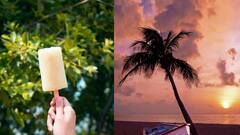 Popsicles Recipe : அடிக்கும் வெயிலுக்கு இதமான குச்சி ஐஸ்.. இனி வீட்டிலே செய்யலாம்!