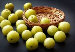 Amla: ડાયાબિટીસ કંટ્રોલ કરવામાં મદદગાર છે આમળા, આજે જ ડાયેટમાં કરો સામેલ