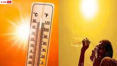 తెలంగాణలో మండుతున్న ఎండలు - ఈ జిల్లాలకు ఎల్లో అలర్ట్