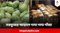 তরমুজের কোলে লুকিয়ে লক্ষ লক্ষ টাকার গাঁজা !