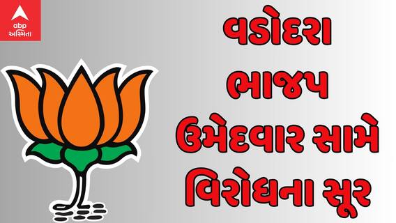 Election 2024 : વડોદરા બેઠકના ભાજપ ઉમેદવાર ડો. હેમાંગ જોશીનો વિરોધ