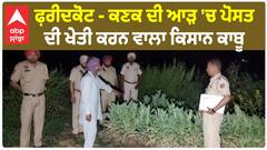 Faridkot News - ਕਣਕ ਦੀ ਆੜ 'ਚ ਪੋਸਤ ਦੀ ਖੇਤੀ ਕਰਨ ਵਾਲਾ ਕਿਸਾਨ ਕਾਬੂ