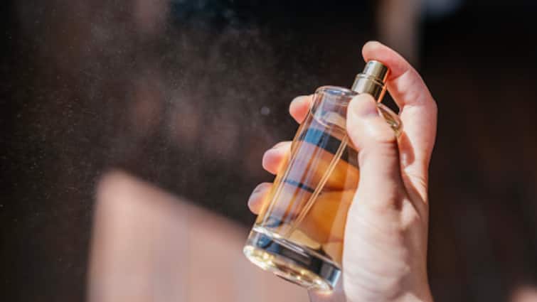 Fruity To Floral- Fragrances You Should Try Each Season Fruity Floral Home Fragrances Body Fragrances For Each Season Winter Spring Summer Fruity To Floral- Fragrances You Should Try Each Season