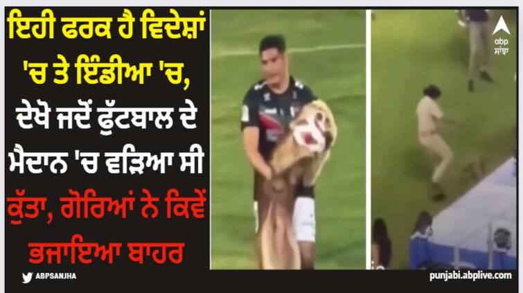 when a dog entered football ground this is how footballs players treated him video viral IPL 2024: ਇਹੀ ਫਰਕ ਹੈ ਵਿਦੇਸ਼ਾਂ 'ਚ ਤੇ ਇੰਡੀਆ 'ਚ, ਦੇਖੋ ਜਦੋਂ ਫੁੱਟਬਾਲ ਦੇ ਮੈਦਾਨ 'ਚ ਵੜਿਆ ਸੀ ਕੁੱਤਾ, ਗੋਰਿਆਂ ਨੇ ਕਿਵੇਂ ਭਜਾਇਆ ਬਾਹਰ