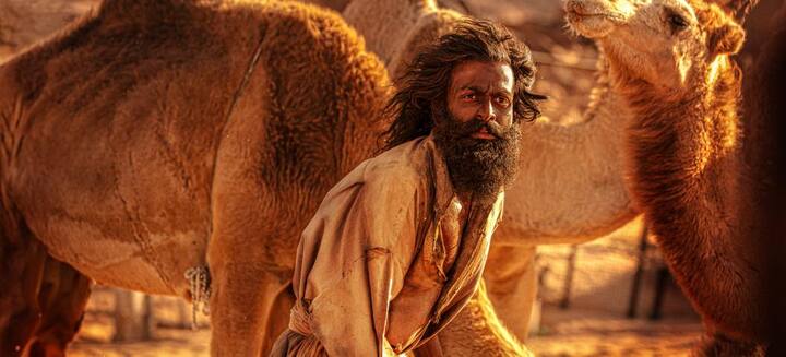 பிருத்விராஜ் சுகுமாரனின் நடிப்பு, ப்ளெஸ்ஸியின் இயக்கம், ஏ.ஆர்.ரஹ்மானின் இசை என ஒன்றுக்கு ஒன்று உறுதுணையாக இருந்து படத்திற்கு வலு சேர்த்துள்ளது.