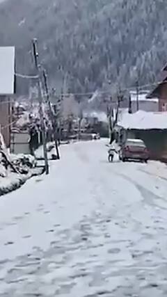 कश्मीर के पहलगाम में हुई ताजा बर्फबारी | abp shorts