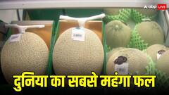 दुनिया का सबसे महंगा फल, कीमत जानकर उड़ जाएंगे होश