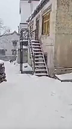 लाहौल स्पीति के काजा इलाके में ताजा बर्फबारी हुई | abp shorts