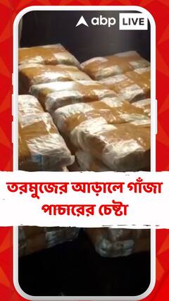 গাড়ি ভর্তি তরমুজের আড়ালে গাঁজা পাচারের চেষ্টা