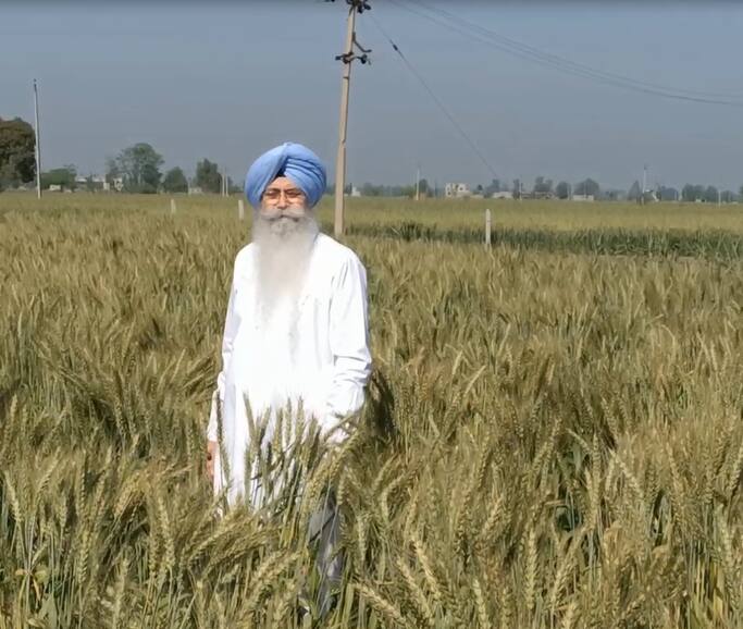 HS phoolka starts crops cultivation from phagwara model, know all details Punjab news: ਕਿਸਾਨਾਂ ਲਈ ਬੜੀ ਕੰਮ ਦੀ ਚੀਜ਼! ਐਚਐਸ ਫੂਲਕਾ ਨੇ ਨਵੀਂ ਤਰਕੀਬ ਨਾਲ ਕੀਤੀ ਖੇਤੀ, ਪਾਣੀ ਦੀ ਪਵੇਗੀ ਘੱਟ ਲੋੜ, ਤੁਸੀਂ ਵੀ ਜਾਣੋ ਨਵਾਂ ਖੇਤੀ ਮਾਡਲ