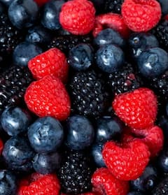 Fruit Yogurt: दही के साथ आराम से मिल जाते हैं ये फल, आप भी जरूर करें ट्राई