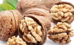 Walnuts Farming: ਘਰ ਵਿੱਚ ਕਰੋ ਅਖਰੋਟ ਦੀ ਖੇਤੀ, ਜਾਣੋ ਸੌਖਾ ਤਰੀਕਾ