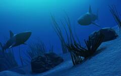 Slowest fish in the world: ਦੁਨੀਆ ਦੀ ਸਭ ਤੋਂ ਸੁਸਤ ਮੱਛੀ, 27 ਦਿਨਾਂ 'ਚ ਤੈਰਦੀ 1 ਕਿਲੋਮੀਟਰ