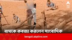 খবর করতে গিয়ে চিতাবাঘের খপ্পরে ! না পালিয়ে নরখাদককে দড়ি পরালেন নির্ভীক সাংবাদিক