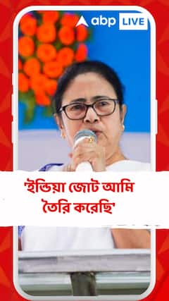 'ইন্ডিয়া জোট আমি তৈরি করেছি', দাবি মমতার