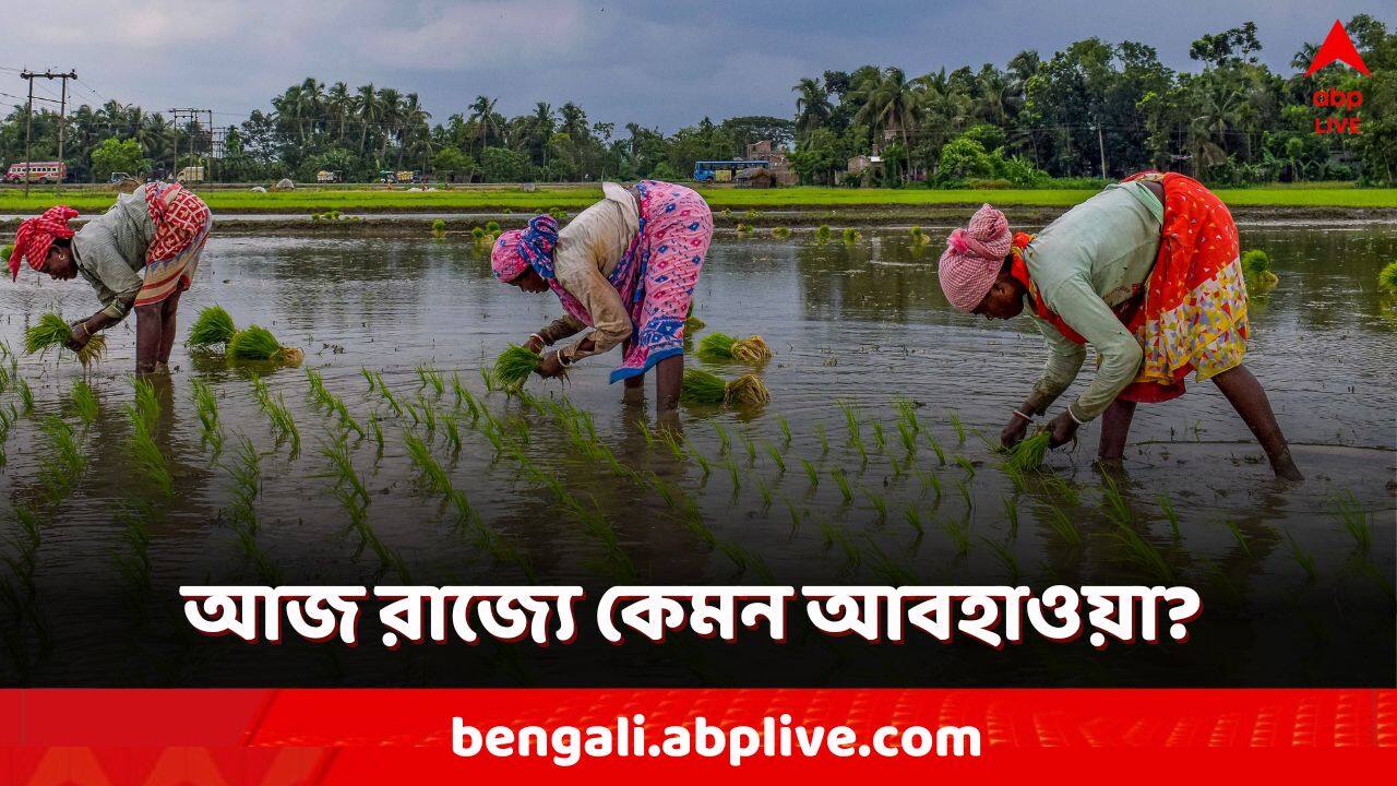 WB Weather Today: এই জেলার বাসিন্দারা সঙ্গে রাখবেন ছাতা, কোন জেলায় আজ কেমন আবহাওয়া?