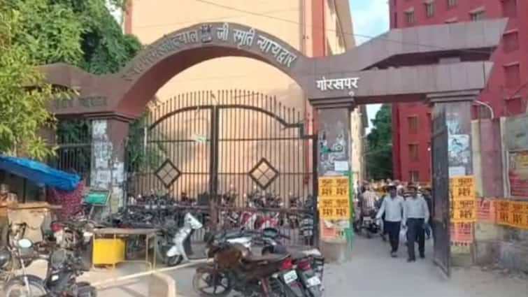 Gorakhpur news court sent 18 accused jail on rape murder and other cases ann Gorakhpur News: हत्या और रेप के मामले में कोर्ट का बड़ा फैसला, 18 आरोपियों को जेल, बिहार से जुड़ा है कनेक्शन