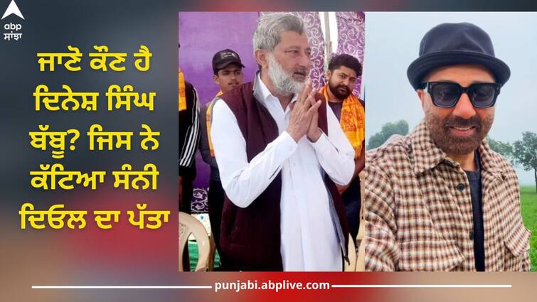 Know who is Dinesh Singh Babbu gets ticket from gurdasupr lok sabh seat, bjp denies sunny deol Dinesh Singh Babbu: ਜਾਣੋ ਕੌਣ ਹੈ ਦਿਨੇਸ਼ ਸਿੰਘ ਬੱਬੂ? ਜਿਸ ਨੇ ਕੱਟਿਆ ਸੰਨੀ ਦਿਓਲ ਦਾ ਪੱਤਾ