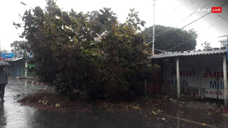 West Bengal jalpaiguri storm 4 persons killed 70 people injured Mamata Banerjee assured assistance West Bengal Storm: बंगाल में तूफान ने मचाई तबाही, 4 की मौत, 70 से ज्‍यादा घायल, ममता बनर्जी ने द‍िया मदद का भरोसा