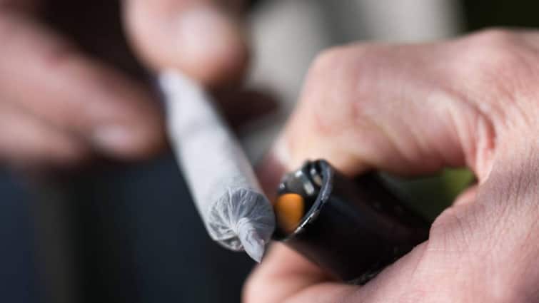 Germany To Partially Legalise Cannabis From April 1 Introduce Cannabis Clubs from July 1 Olaf Scholz Govt Restrictions Details Germany To Partially Legalise Cannabis. Here's What Changes From April 1