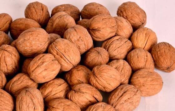 દિવસમાં 2થી3 અખરોટ ખાવા જોઇએ, જો કે તેનાથી વધુ અખરોટ ખાવાથી નુકસાન પણ થઇ શકે છે.