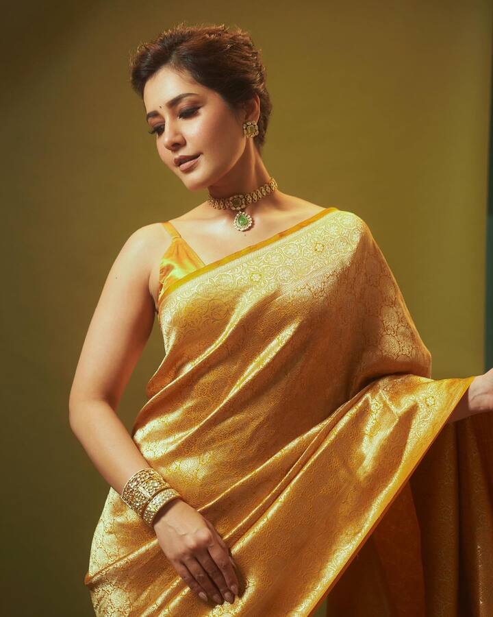 Raashii Khanna posted pictures in a beautiful silk saree.