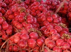 Pomegranate Farming Tips: ਅਨਾਰ ਦੀ ਖੇਤੀ ਕਰ ਦੇਵੇਗੀ ਮਾਲਾਮਾਲ, ਬਸ ਇਸ ਗੱਲ ਦਾ ਰੱਖੋ ਖਾਸ ਧਿਆਨ