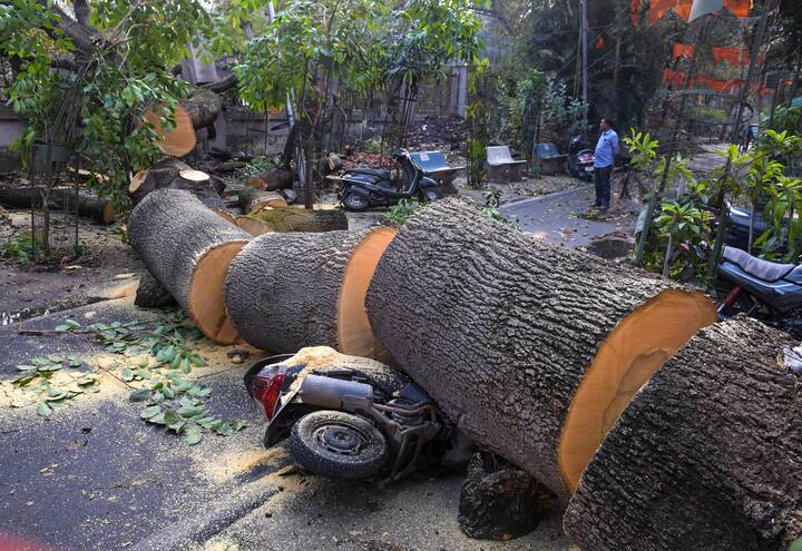 ओडिशा, गंगीय पश्चिम बंगाल और झारखंड में गरज और बिजली के साथ तेज हवा और बारिश होने की संभावना है. बिहार में ओलावृष्टि भी देखने को मिली.