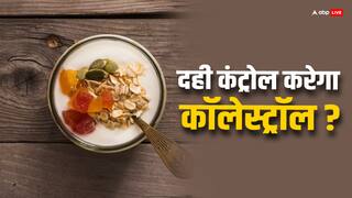 हाई कोलेस्ट्रॉल कंट्रोल करने में दही है फायदेमंद, लेकिन जान लें खाने का सही तरीका...