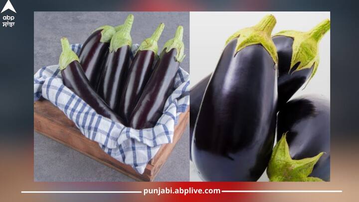 Eggplant Benefits: ਬੈਂਗਣ ਵਿੱਚ ਹਾਈ ਫਾਈਬਰ ਪਾਇਆ ਜਾਂਦਾ ਹੈ ਜੋ ਬਹੁਤ ਸਾਰੇ ਪੌਸ਼ਟਿਕ ਤੱਤ ਪ੍ਰਦਾਨ ਕਰਦਾ ਹੈ। ਇਸ ਵਿਚ ਕਾਰਬੋਹਾਈਡ੍ਰੇਟਸ ਵੀ ਹੁੰਦੇ ਹਨ ਪਰ ਇਸ ਦਾ ਪੱਧਰ ਬਹੁਤ ਘੱਟ ਰਹਿੰਦਾ ਹੈ। ਬੈਂਗਣ ਟਾਈਪ-2 ਡਾਇਬਟੀਜ਼ ਦੇ ਮਰੀਜ਼ਾਂ ਲਈ