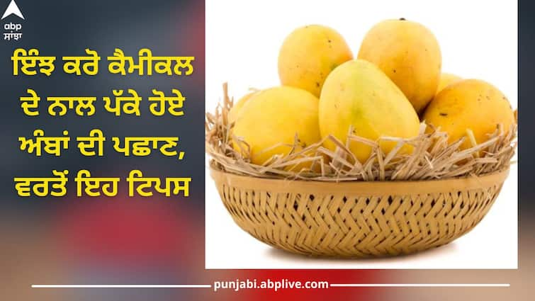 Summer king mango in the market, But before buying, identify the cooked with chemicals mango Avoid chemically ripened mangoes: ਬਾਜ਼ਾਰਾਂ 'ਚ ਆਇਆ ਗਰਮੀ ਦਾ ਰਾਜਾ ਅੰਬ! ਪਰ ਖਰੀਦਣ ਤੋਂ ਪਹਿਲਾਂ ਇੰਝ ਕਰੋ ਕੈਮੀਕਲ ਨਾਲ ਪਕਾਏ ਦੀ ਪਛਾਣ