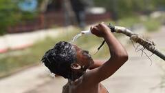 Weather Update: યુપીમાં આંધીનું એલર્ટ, પૂર્વોત્તરમાં ભારે વરસાદ મચાવી શકે છે તબાહી, વાંચો IMDનું લેટેસ્ટ અપડેટ