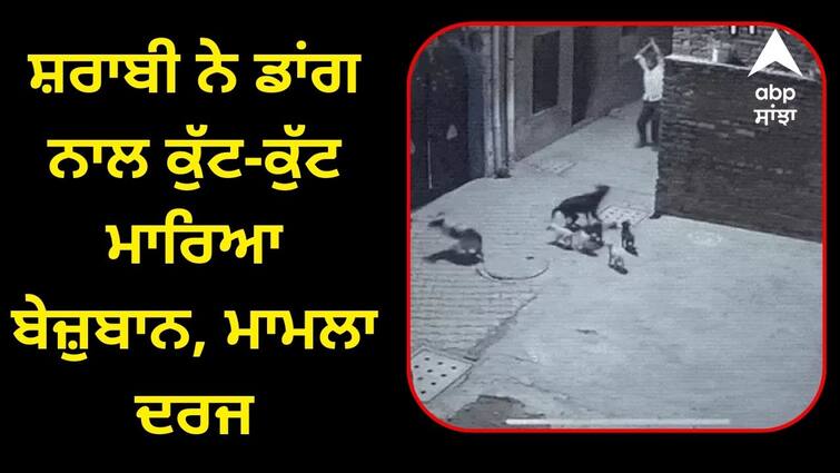 Dog beaten to death with a stick police registered FIR Ludhiana News: ਕੁੱਤਾ ਤਾਂ ਆਦਤ ਤੋਂ ਮਜਬੂਰ ਪਰ..., ਸ਼ਰਾਬੀ ਨੇ ਡਾਂਗ ਨਾਲ ਕੁੱਟ-ਕੁੱਟ ਮਾਰਿਆ ਬੇਜ਼ੁਬਾਨ, ਮਾਮਲਾ ਦਰਜ