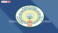 పింఛన్ల పంపిణీపై ఏపీ ప్రభుత్వం స్పష్టత - అధికారులకు కీలక ఆదేశాలు