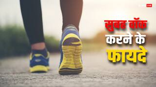 क्यों कहा जाता है सुबह की वॉक होती है ज्यादा फायदेमंद, ये है हार्मोन से जुड़ा खास कारण