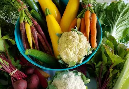 ਇਹ ਸਾਰੀਆਂ ਸਬਜ਼ੀਆਂ ਭਾਰਤ ਵਿੱਚ ਉਗਾਈ ਜਾਂਦੀਆਂ ਹਨ ਅਤੇ ਇਨ੍ਹਾਂ ਦੀ ਖਪਤ ਭਾਰਤ ਵਿੱਚ ਸਭ ਤੋਂ ਵੱਧ ਹੁੰਦੀ ਹੈ।