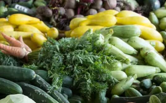ਦੁਨੀਆਂ ਵਿੱਚ ਵੱਖ-ਵੱਖ ਤਰ੍ਹਾਂ ਦੀਆਂ ਸਬਜ਼ੀਆਂ ਹੁੰਦੀਆਂ ਹਨ। ਜਿਹੜੀਆਂ ਲੋਕਾਂ ਨੂੰ ਪਸੰਦ ਹੁੰਦੀਆਂ ਹਨ। ਜਿਵੇਂ ਗੋਭੀ, ਮਟਰ, ਪਾਲਕ, ਸ਼ਿਮਲਾ ਮਿਰਚ, ਲੌਕੀ ਅਤੇ ਆਦਿ। ਇਨ੍ਹਾਂ ਸਾਰੀਆਂ ਸਬਜ਼ੀਆਂ ਨੂੰ ਆਮ ਬੰਦਾ ਵੀ ਖਰੀਦ ਸਕਦਾ ਹੈ। ਇਹ ਸਾਰੀਆਂ ਸੁਆਦਿਸ਼ਟ ਹੋਣ ਦੇ ਨਾਲ-ਨਾਲ ਪੌਸ਼ਟਿਕ ਵੀ ਹੁੰਦੀਆਂ ਹਨ।
