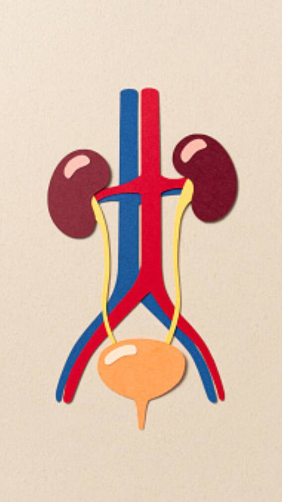 How Healthy Diet, Lifestyle And Early Detection Can Prevent Chronic Kidney Diseases