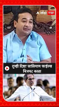 Nitesh Rane : तुम्ही दिशा सालियान फाईल्स चित्रपट काढा