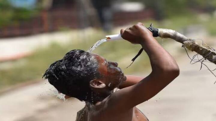 सूर्य के उत्तर की ओर आभासी गति के कारण भूमंजलीय ताप पट्टी उत्तर की ओर खिसक जाती है. इसलिए मार्च के बाद से गर्मियां पड़ना शुरू हो जाती है. वहीं देश के उत्तरी भाग में गर्मी में तापमान में बढ़ोतरी होने के साथ ही वायु दाब में कमी आती है. इससे ही लू की स्थिति पैदा होती है.